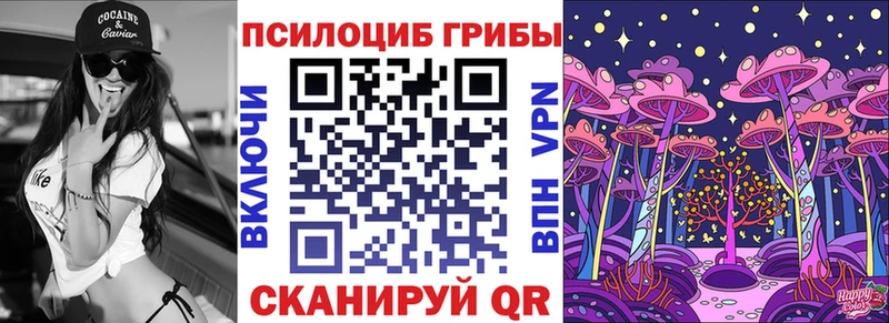 Купить где  Рязань  Псилоцибиновые грибы Psilocybe 